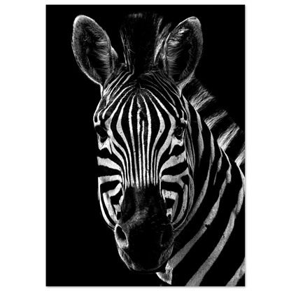 Zebra - Poster - Arthena