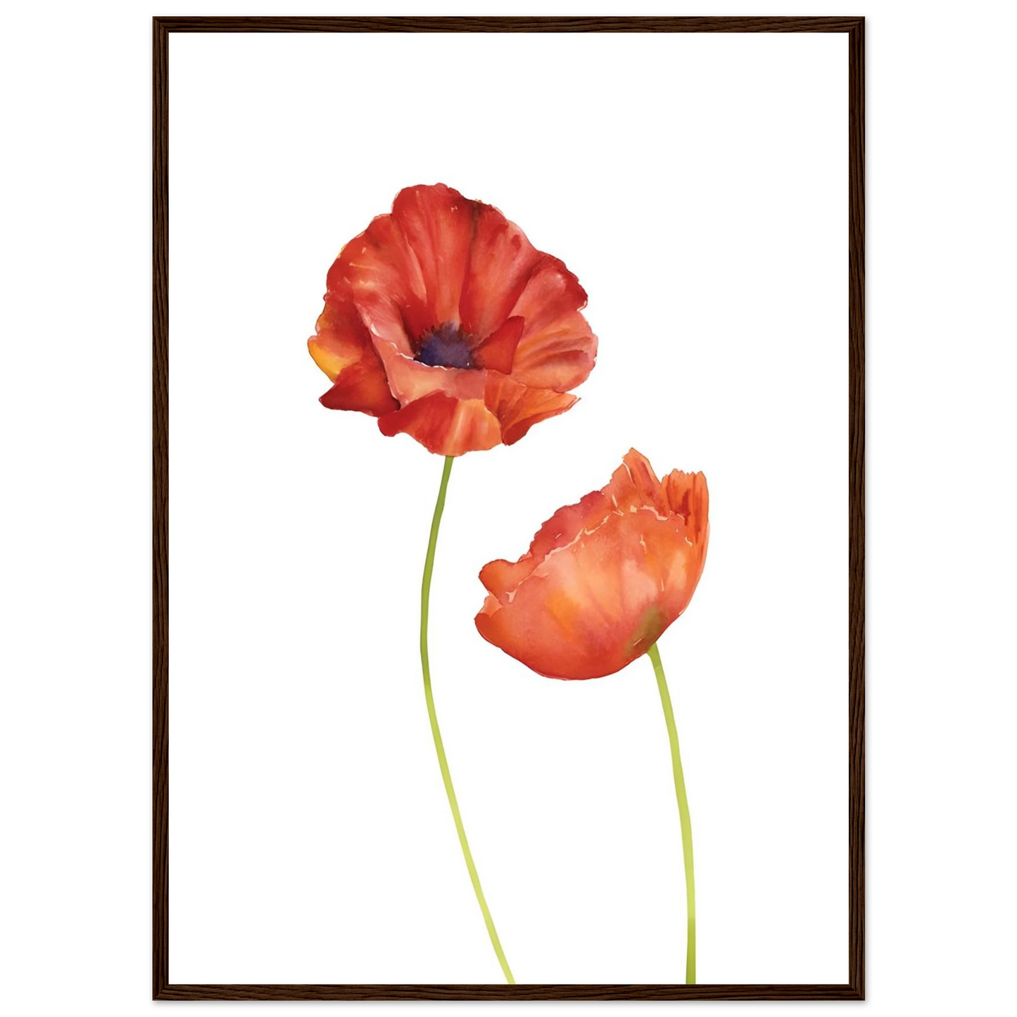 Watercolor Red Poppies - Poster - Arthena