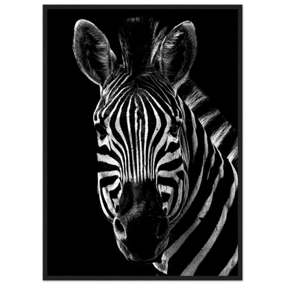 Zebra - Poster - Arthena