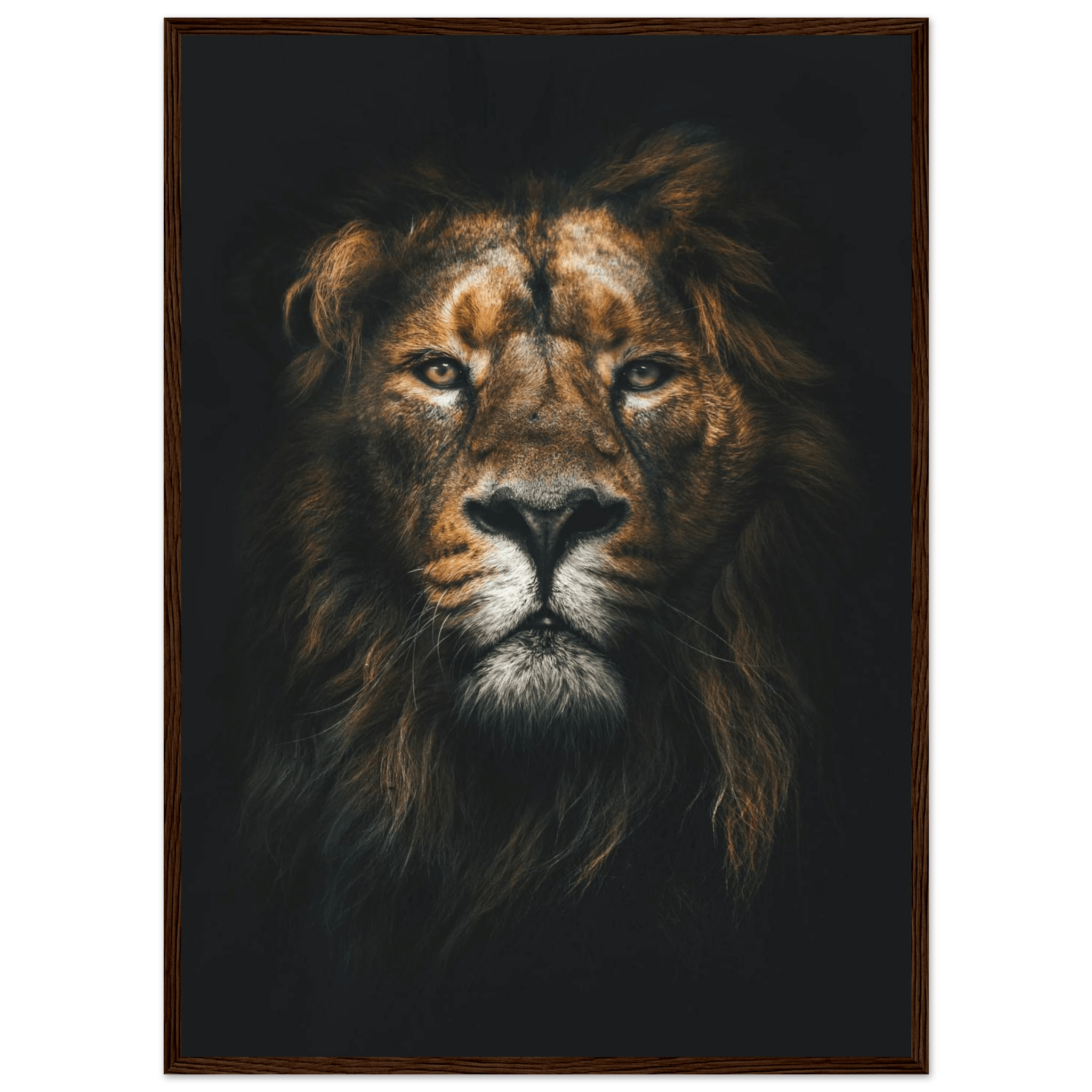 Lion King - Poster - Arthena