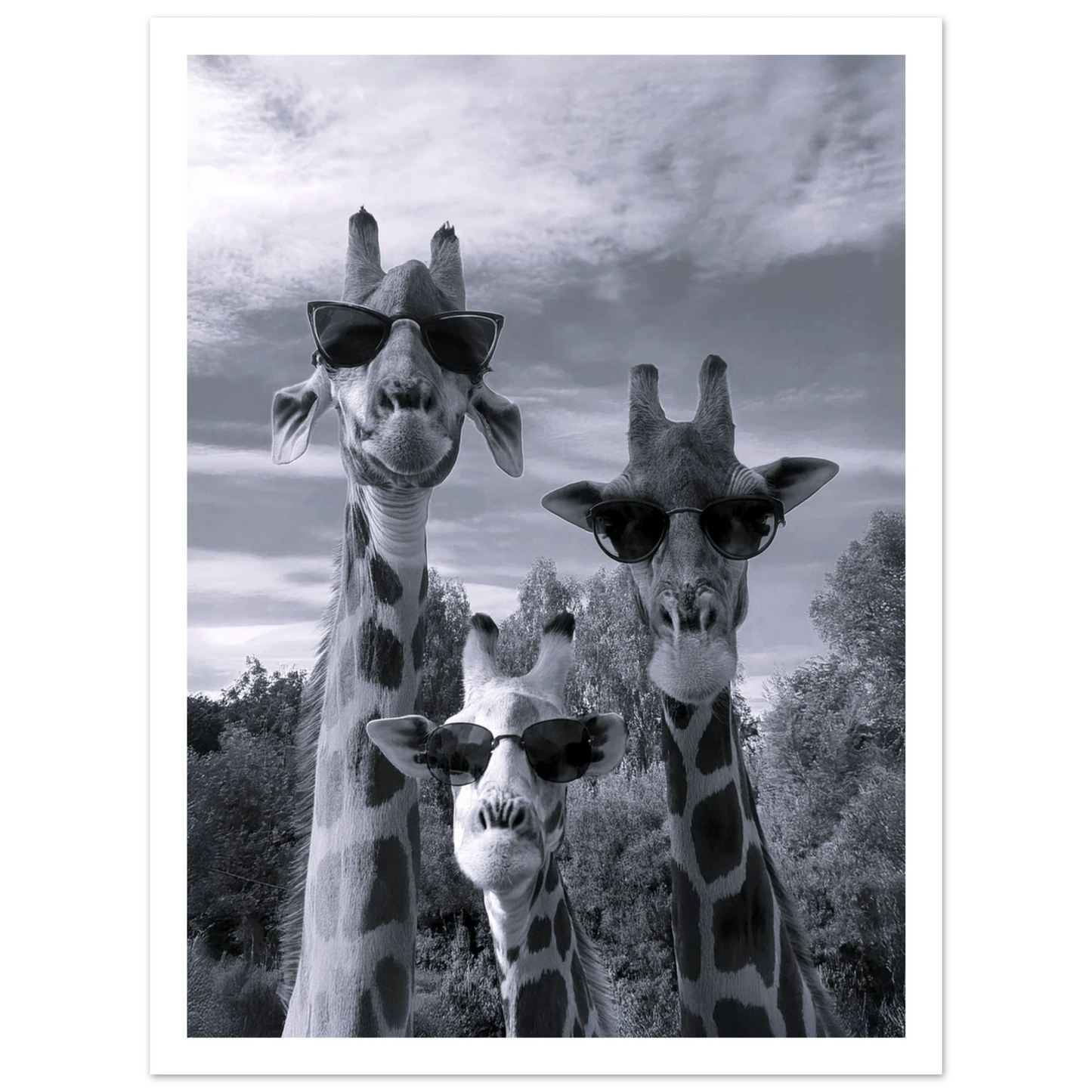 A Sunny Day to be a Giraffe - Poster - Arthena