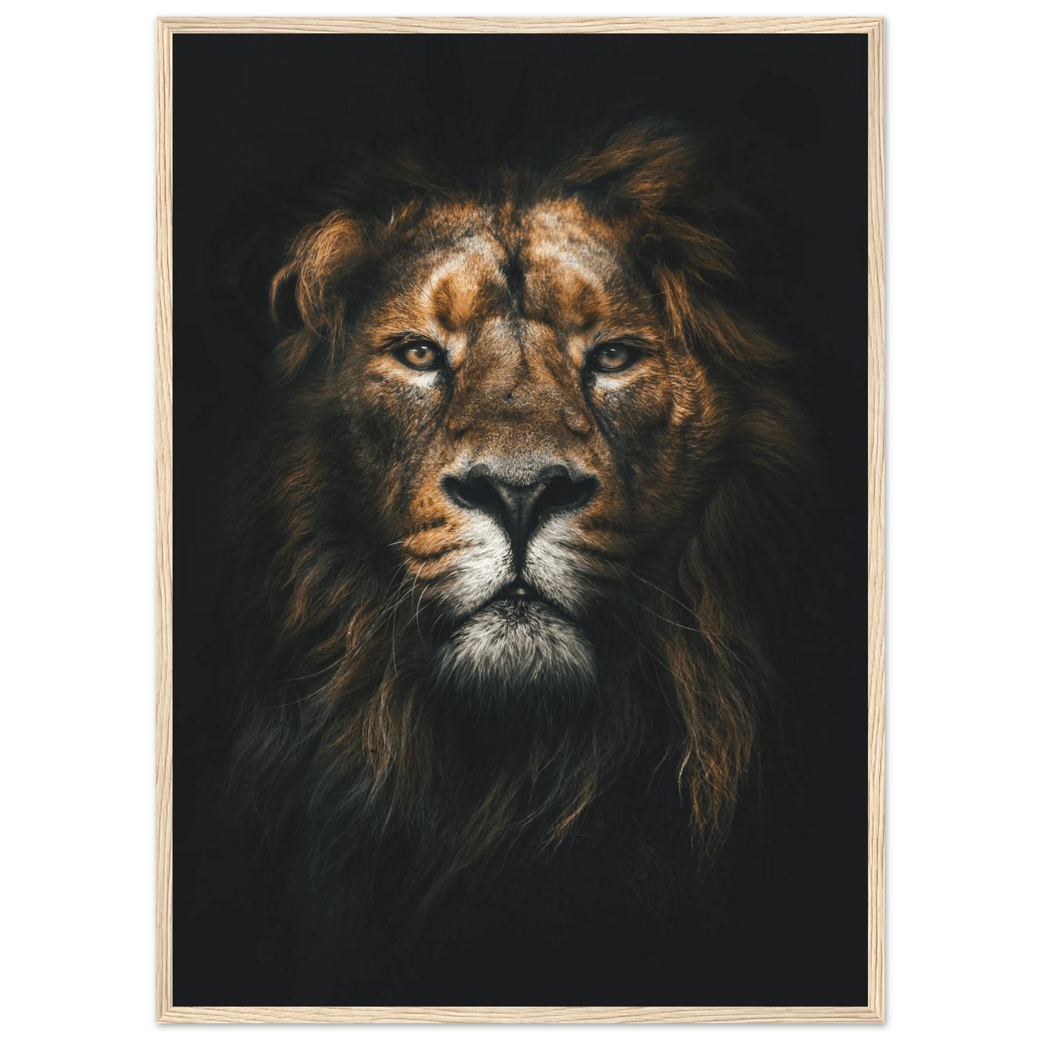Lion King - Poster - Arthena