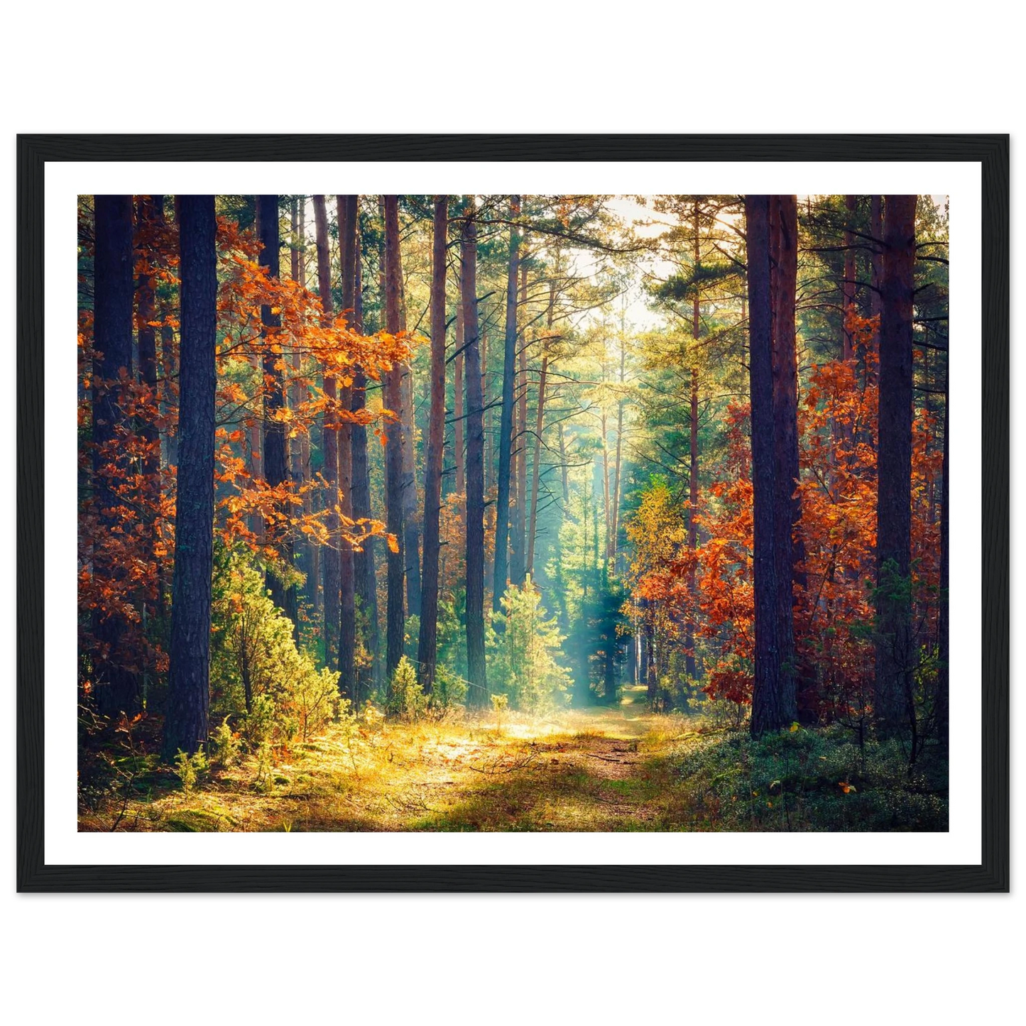 Path of Autumn Glow - Poster - Arthena