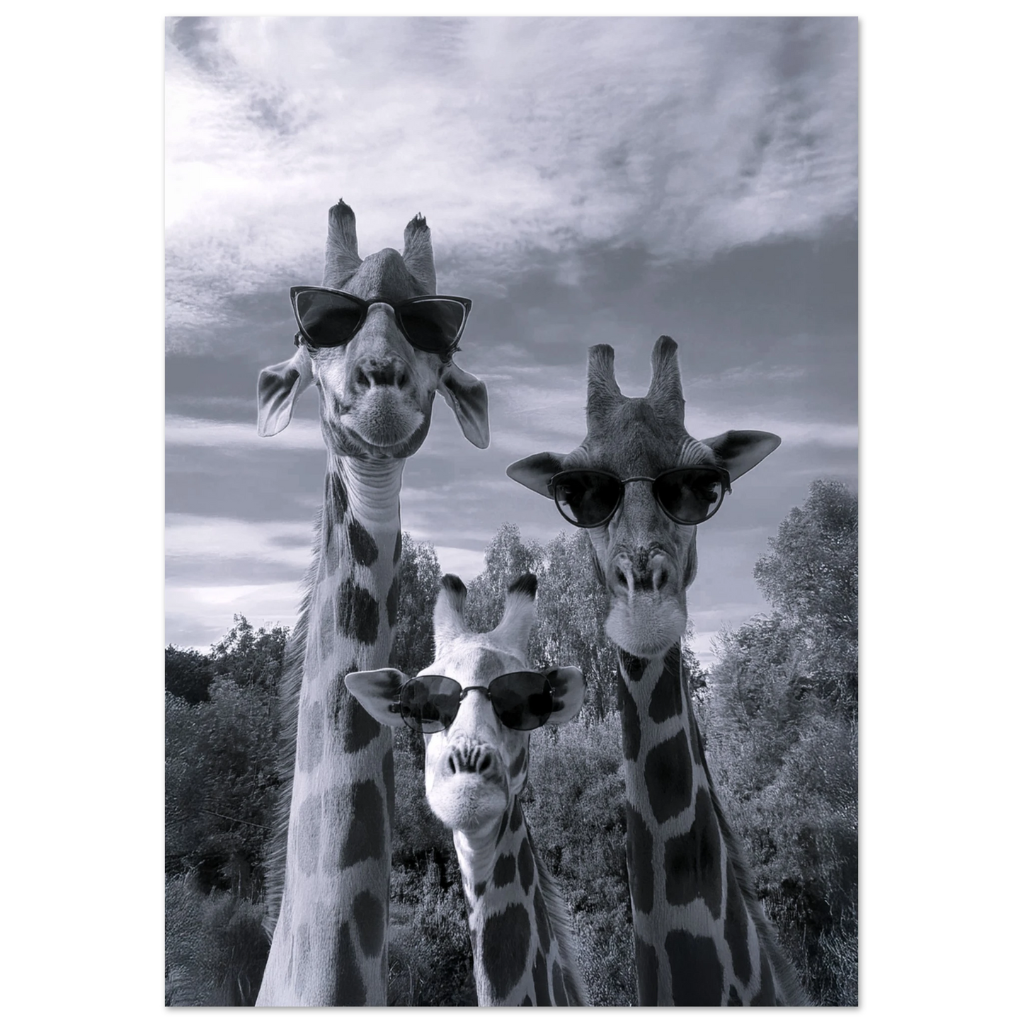 A Sunny Day to be a Giraffe - Poster - Arthena