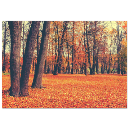 Autumn Carpet - Poster - Arthena