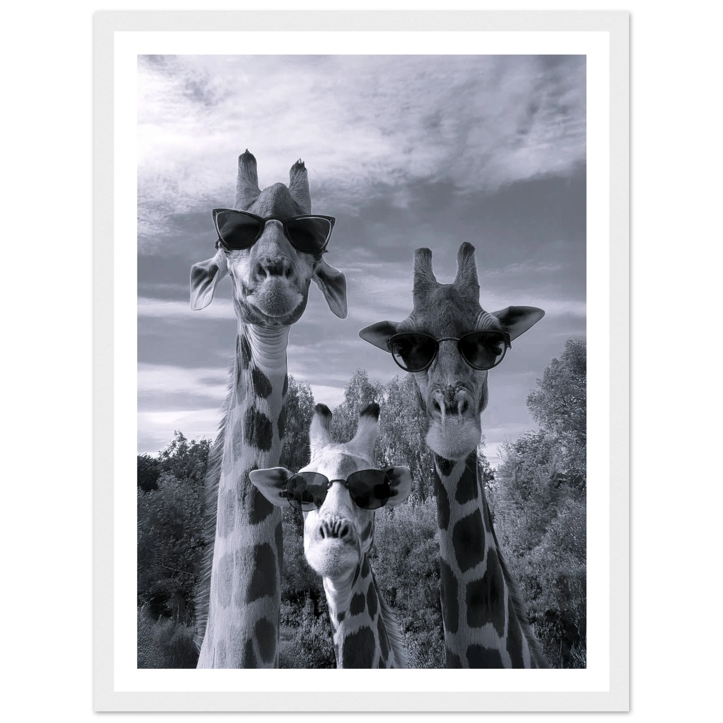 A Sunny Day to be a Giraffe - Poster - Arthena