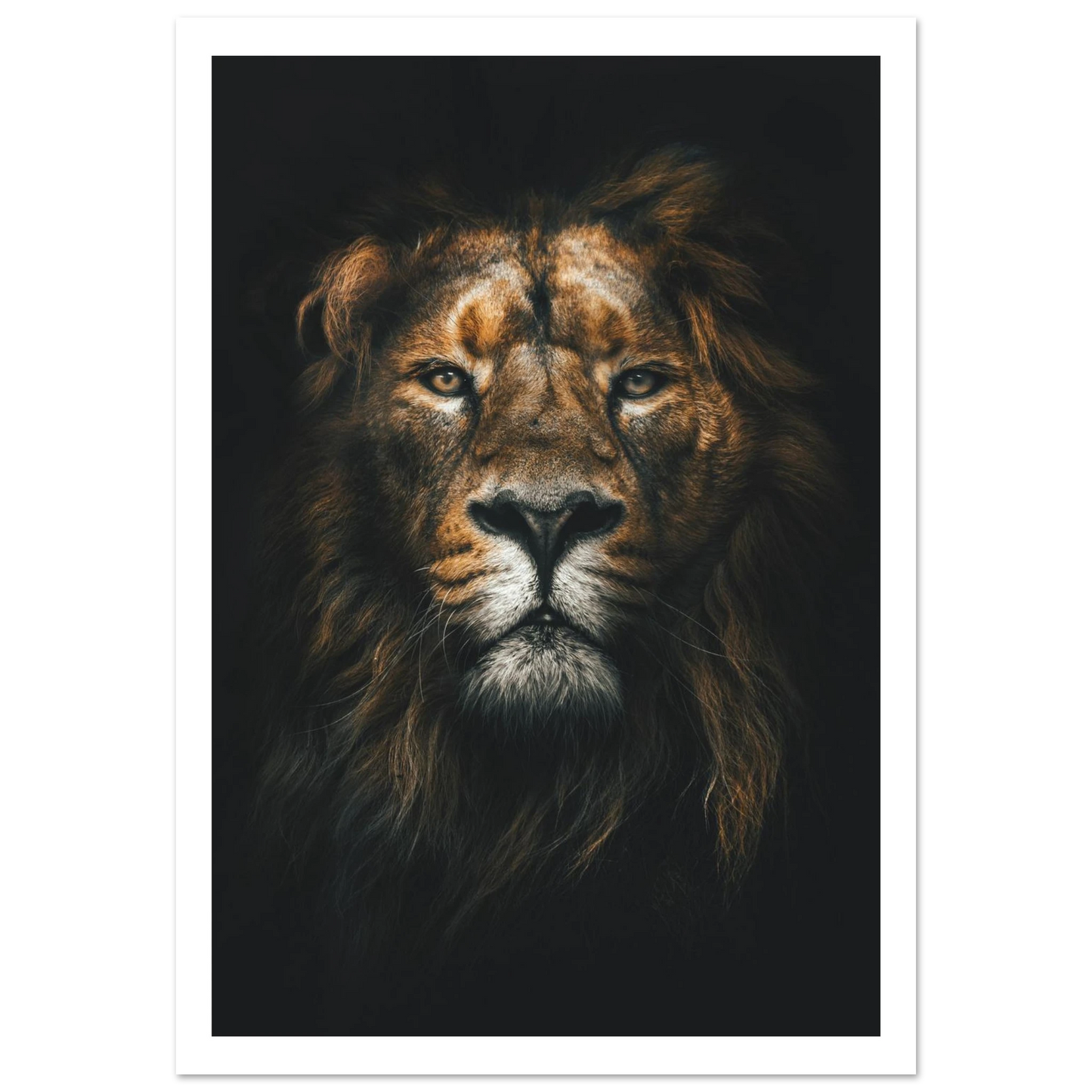 Lion King - Poster - Arthena