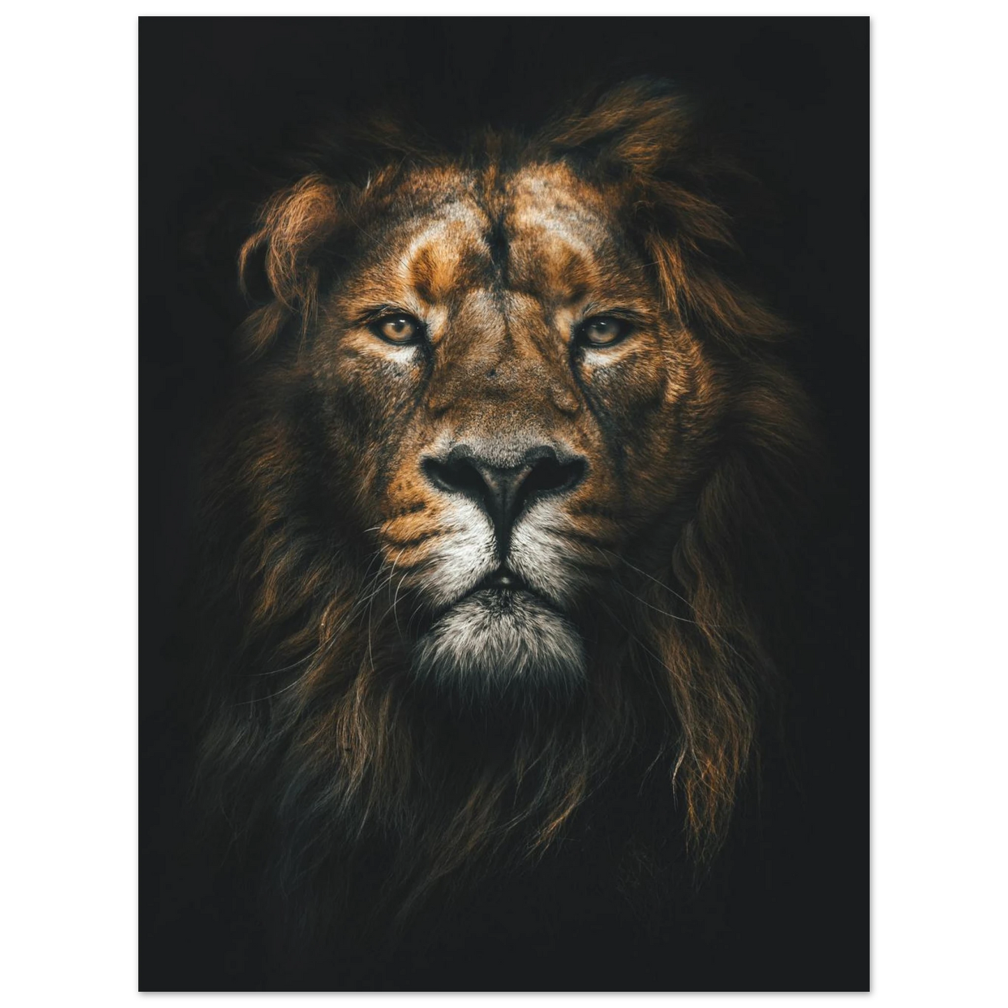 Lion King - Poster - Arthena