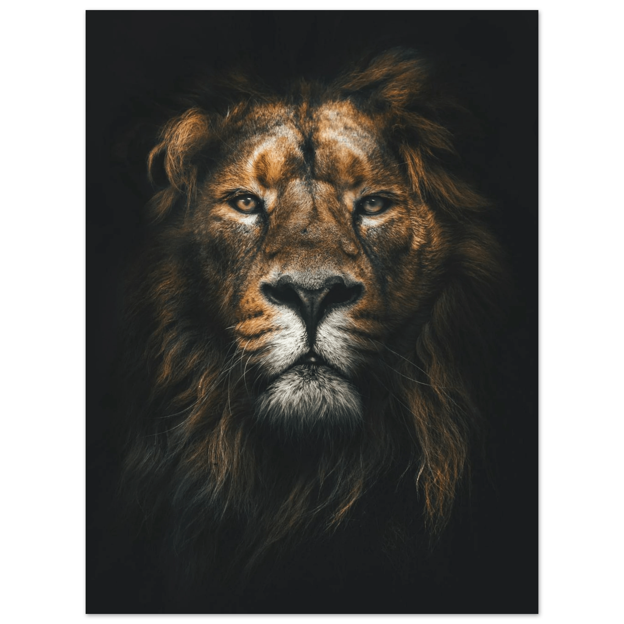 Lion King - Poster - Arthena