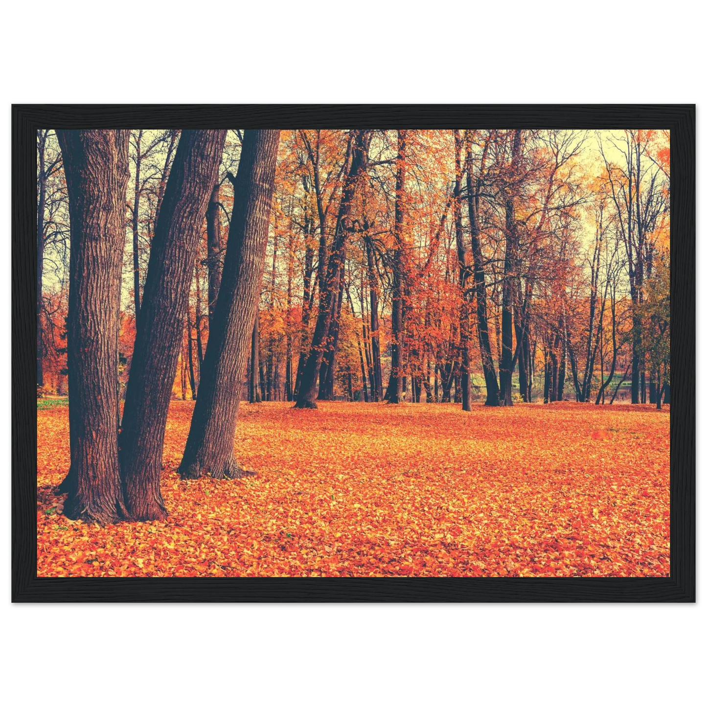 Autumn Carpet - Poster - Arthena