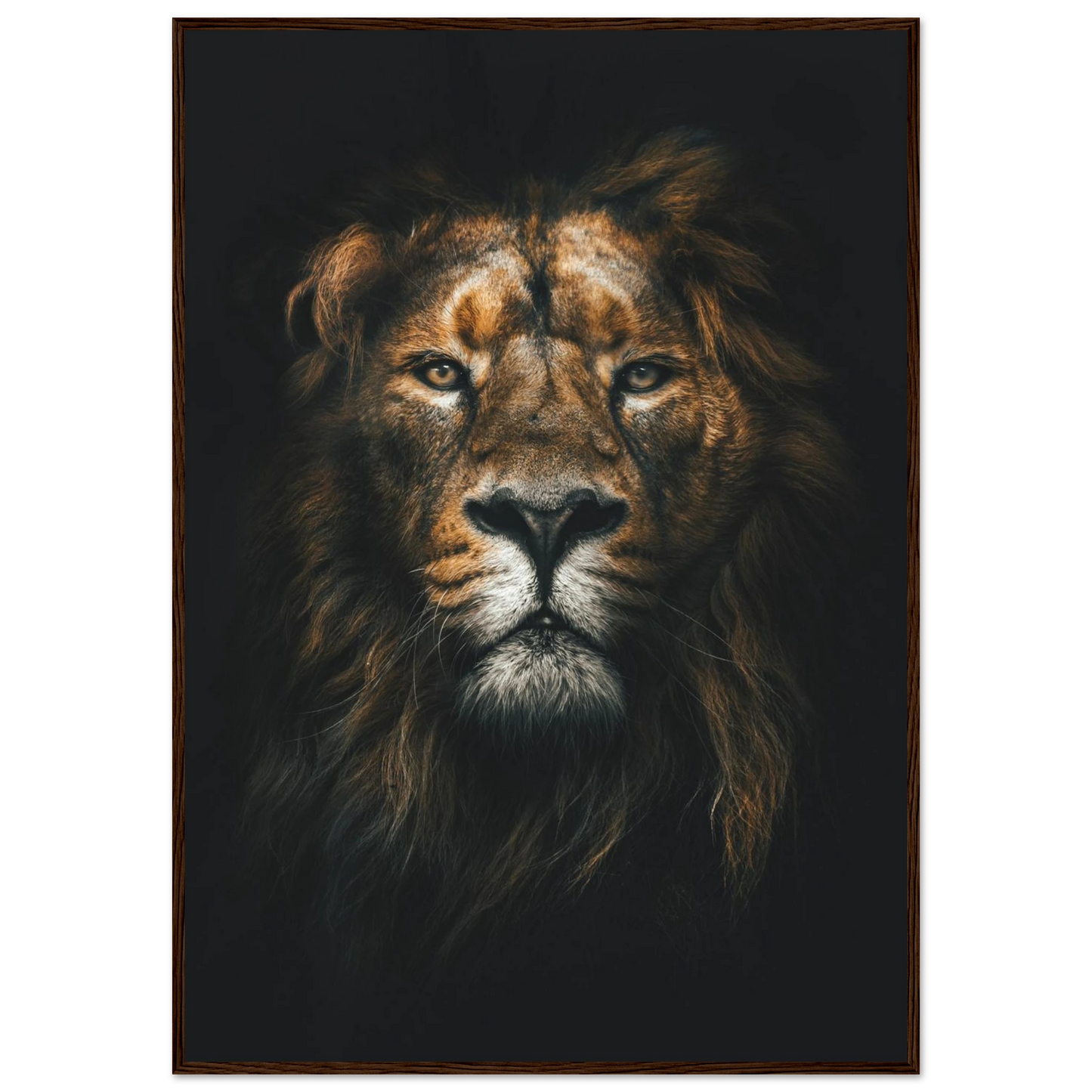 Lion King - Poster - Arthena