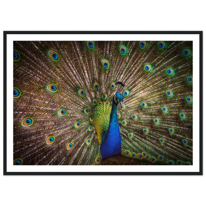 Crown of feathers - Poster - Arthena