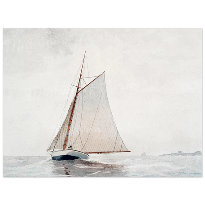 Sailing in the Wind - Poster - Arthena