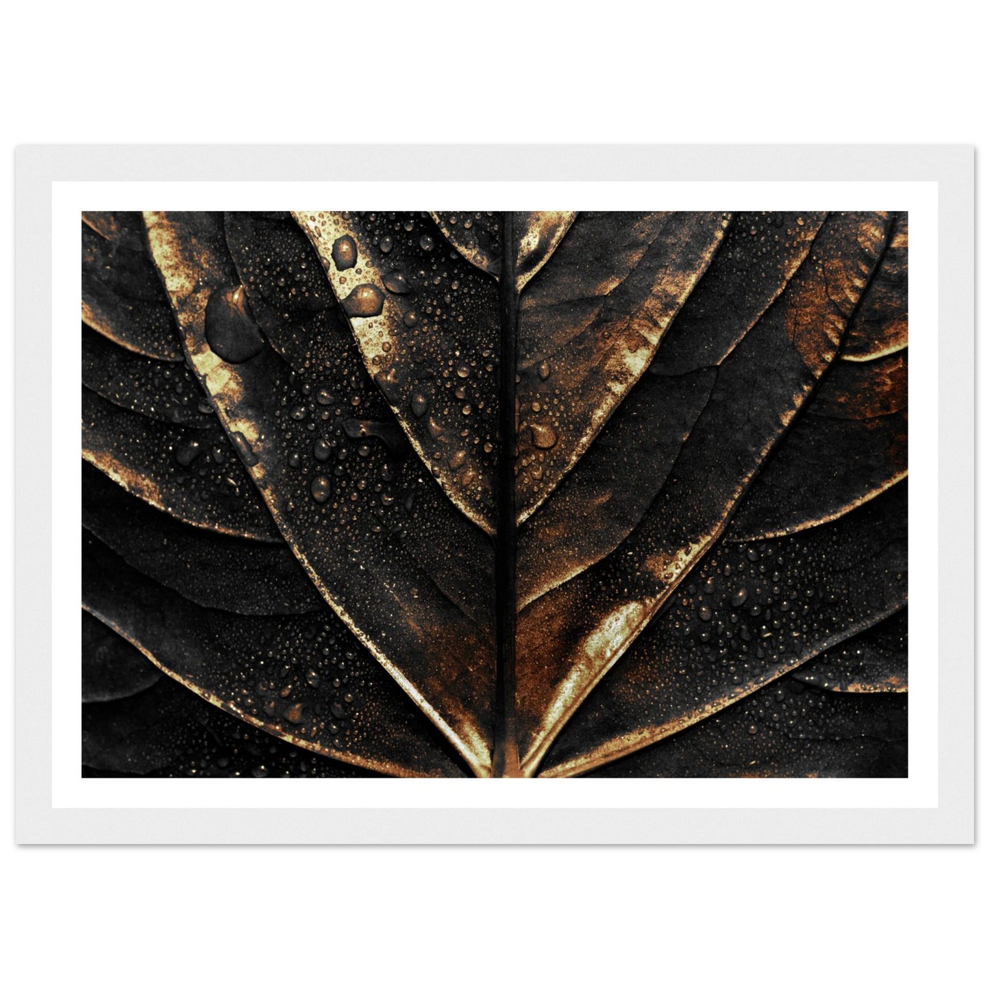 Gold Veins - Poster - Arthena