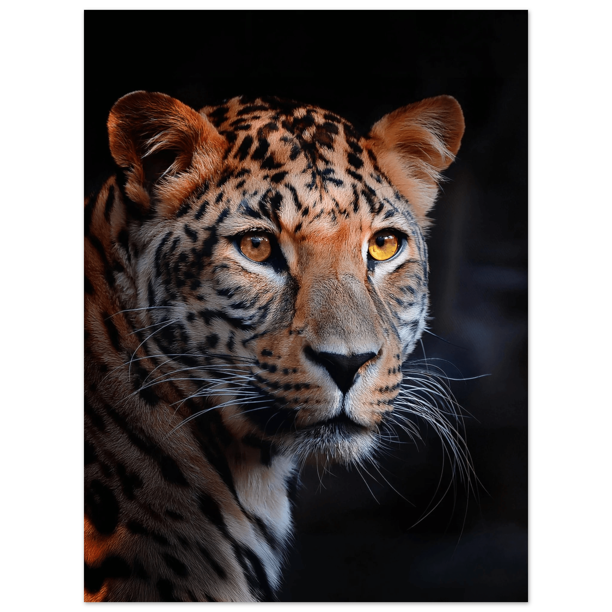 Leopard - Poster - Arthena