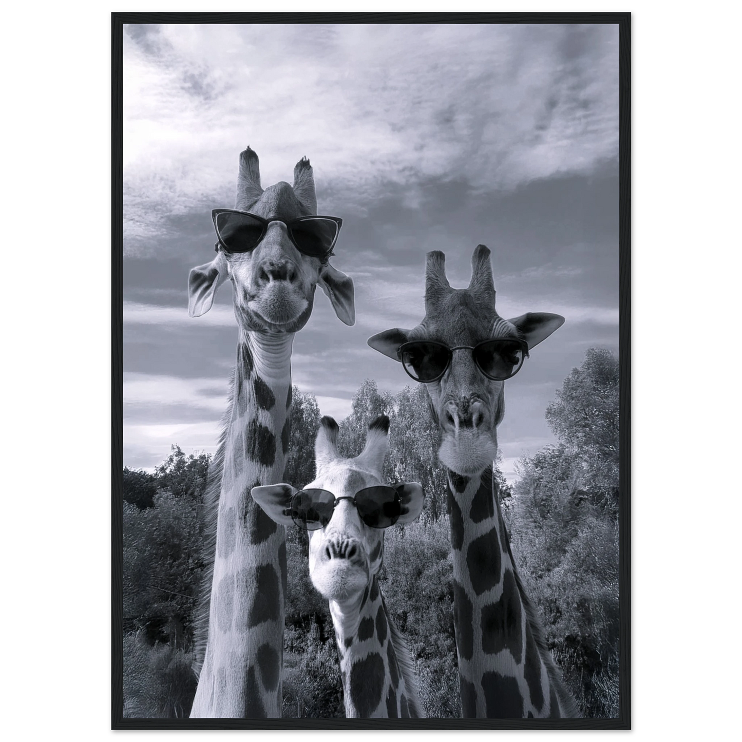 A Sunny Day to be a Giraffe - Poster - Arthena