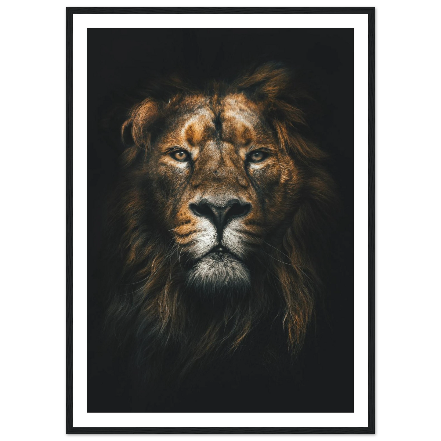Lion King - Poster - Arthena