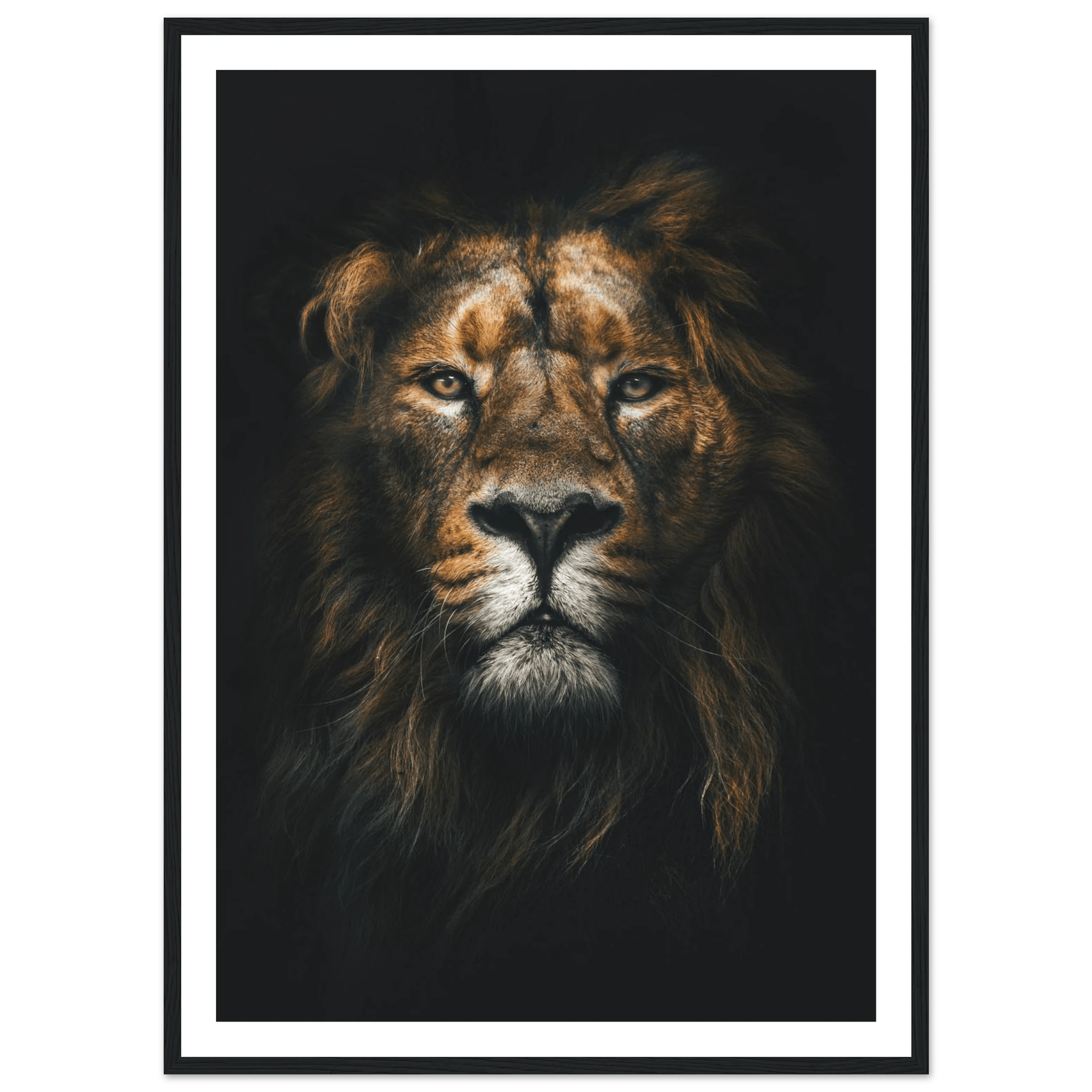 Lion King - Poster - Arthena