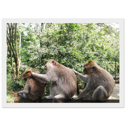 Monkey Scratchers - Poster - Arthena