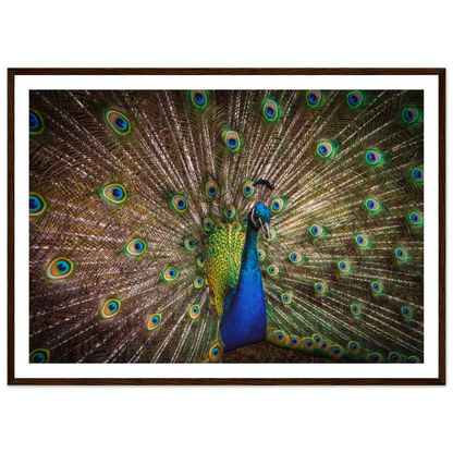 Crown of feathers - Poster - Arthena