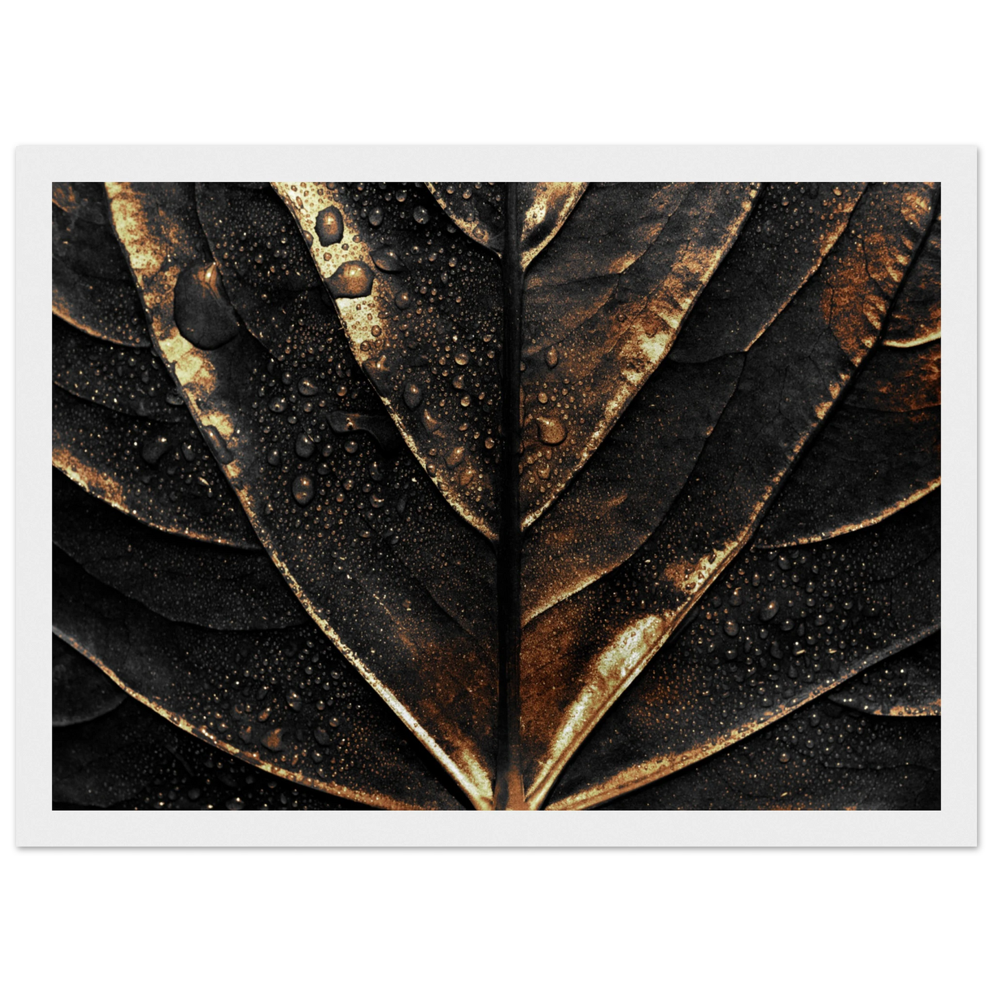 Gold Veins - Poster - Arthena