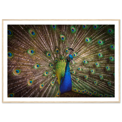 Crown of feathers - Poster - Arthena