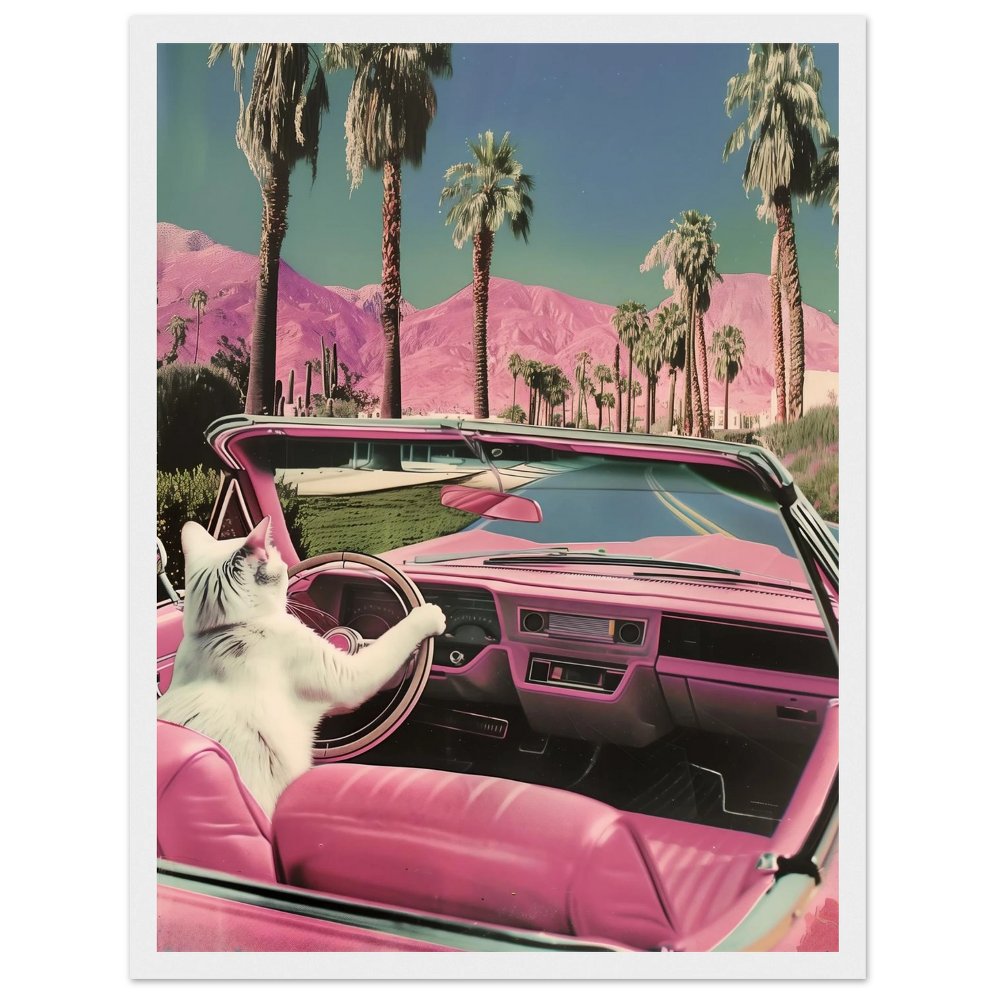 Feline Dreams - Poster - Arthena