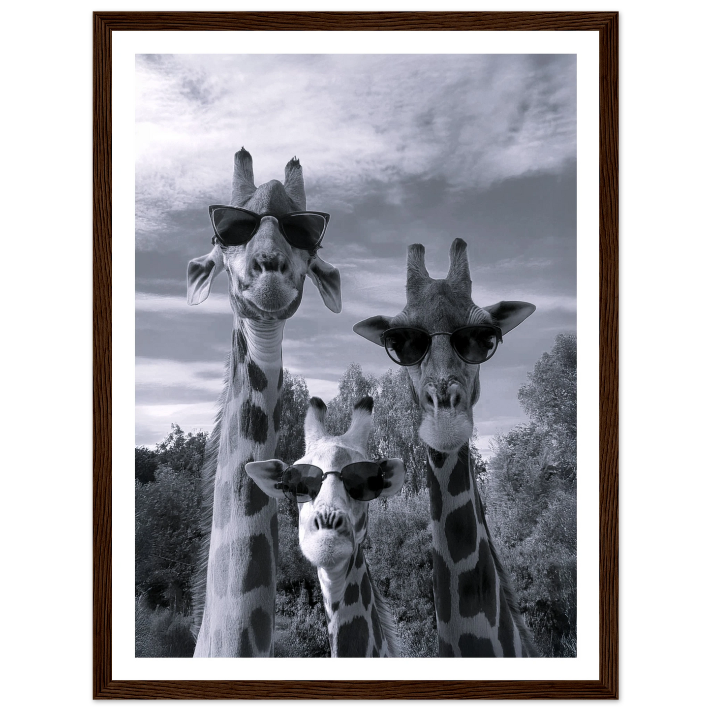 A Sunny Day to be a Giraffe - Poster - Arthena
