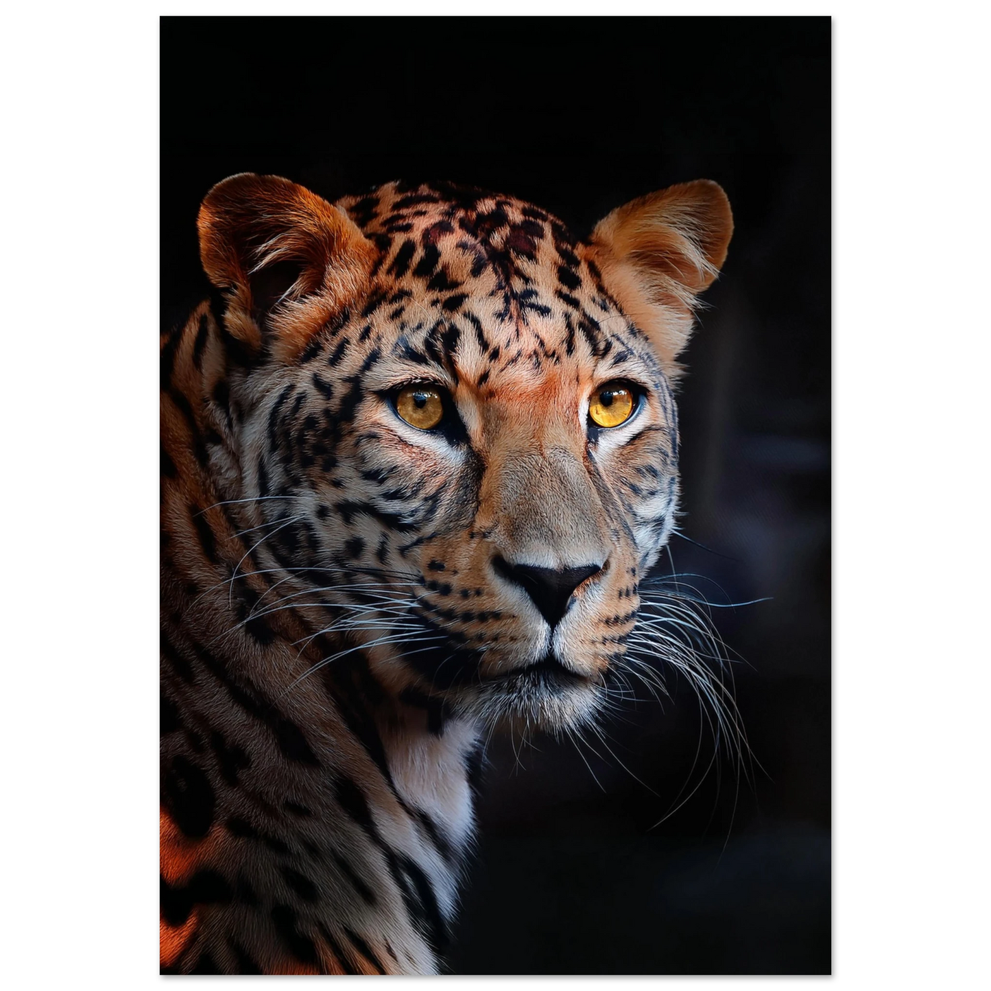 Leopard - Poster - Arthena