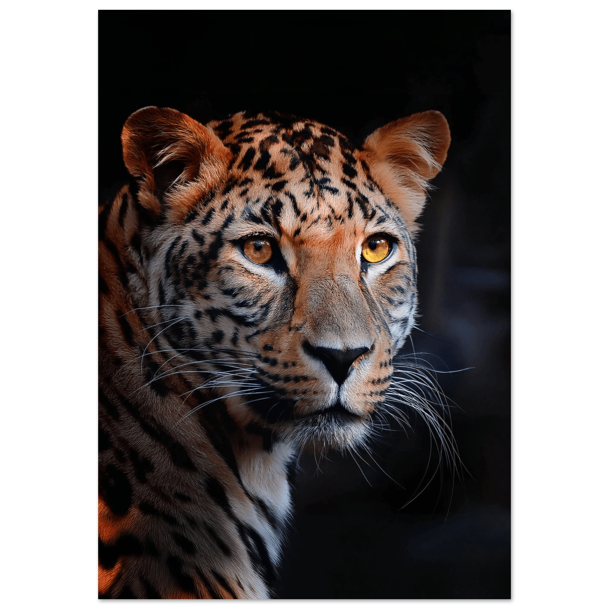 Leopard - Poster - Arthena