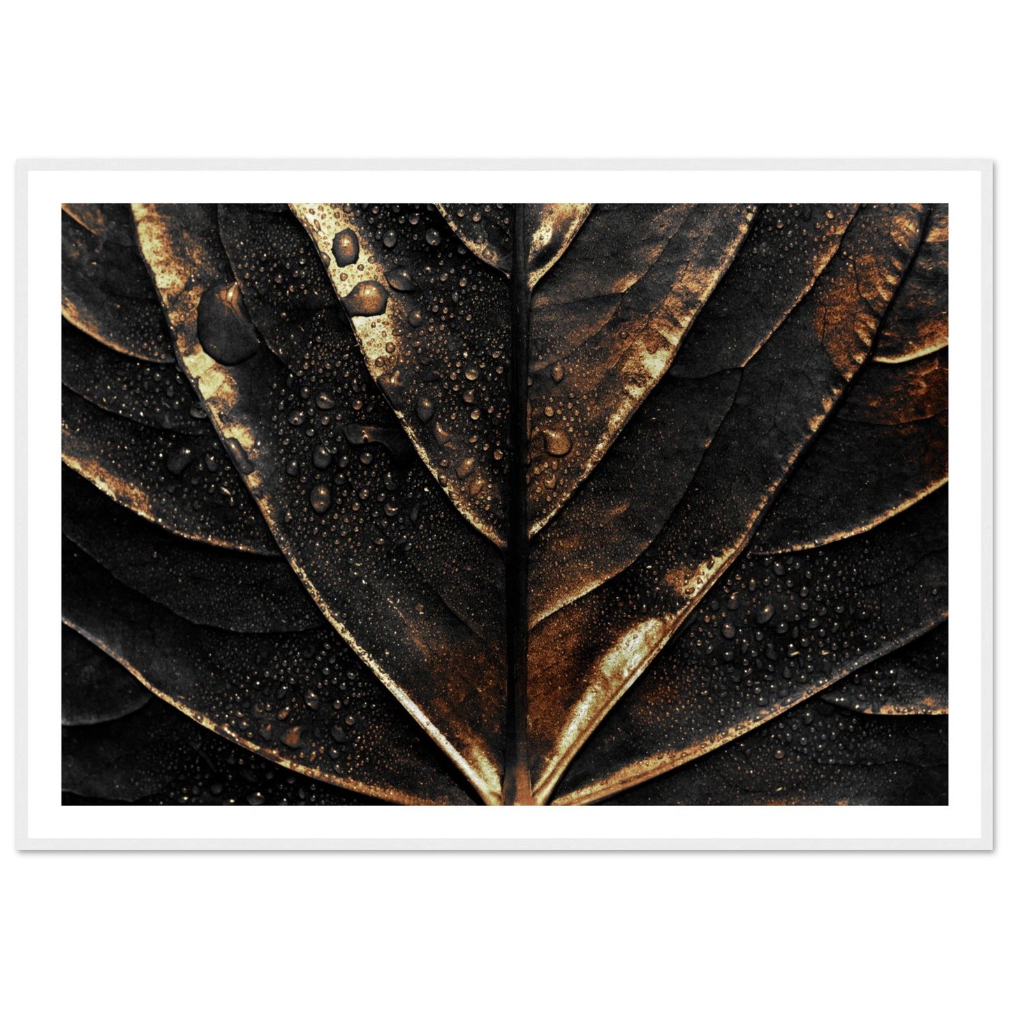 Gold Veins - Poster - Arthena