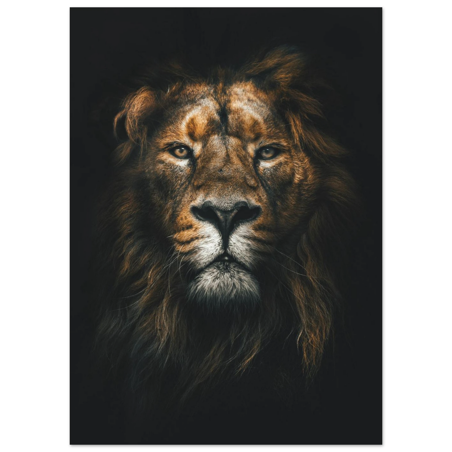 Lion King - Poster - Arthena