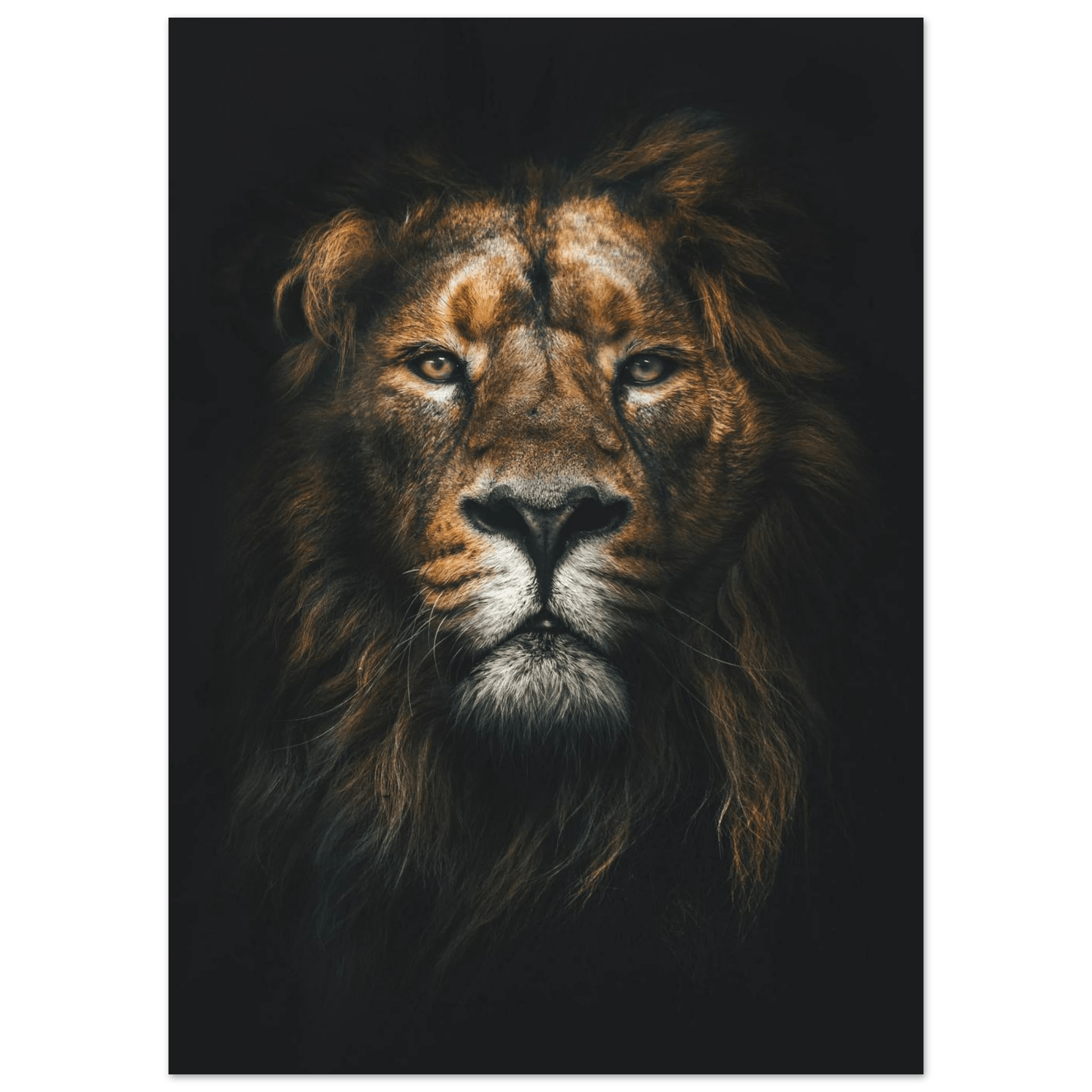 Lion King - Poster - Arthena