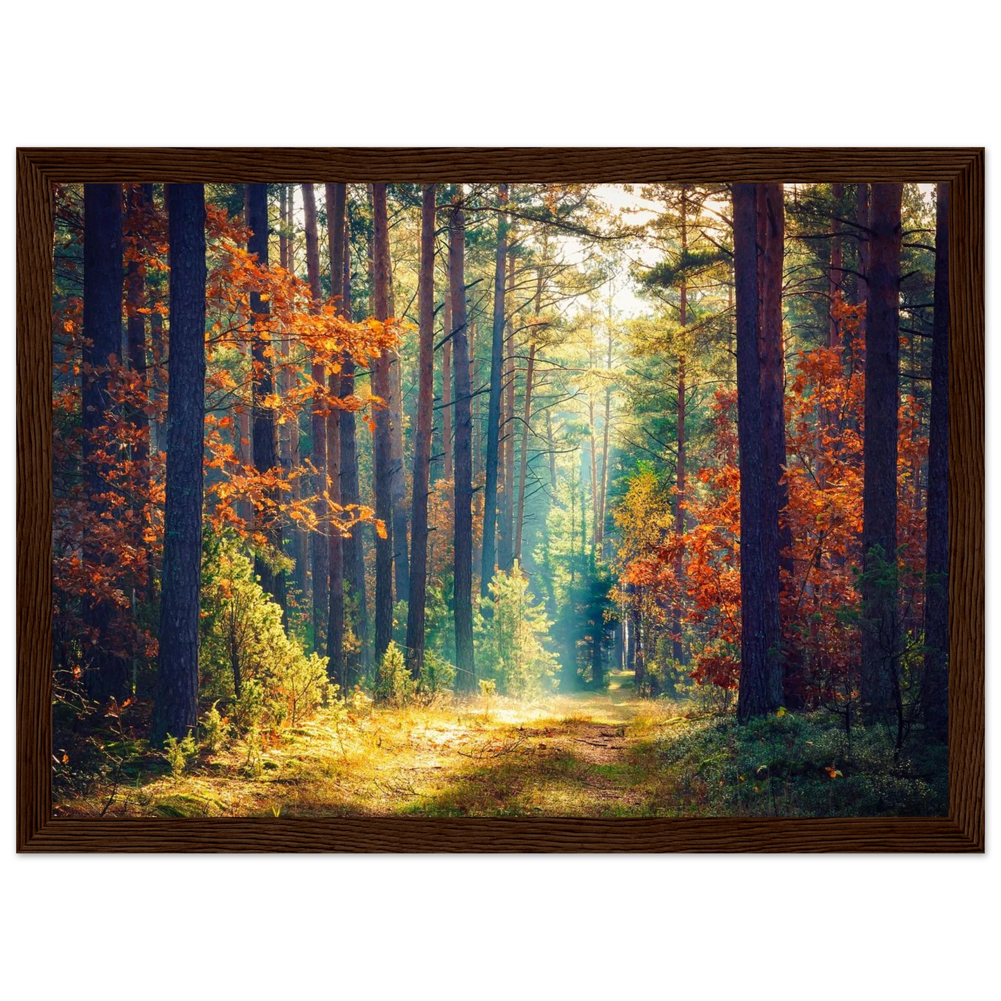 Path of Autumn Glow - Poster - Arthena