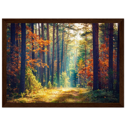 Path of Autumn Glow - Poster - Arthena