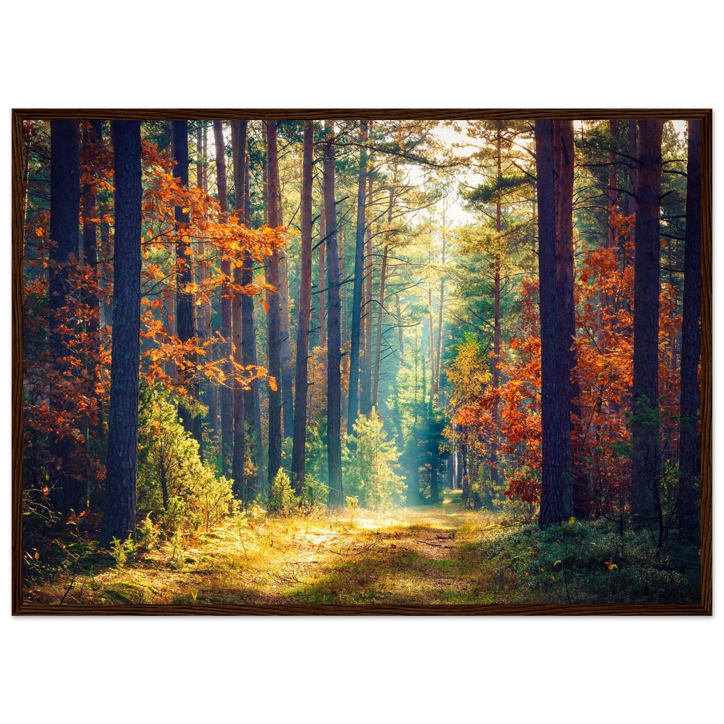 Path of Autumn Glow - Poster - Arthena