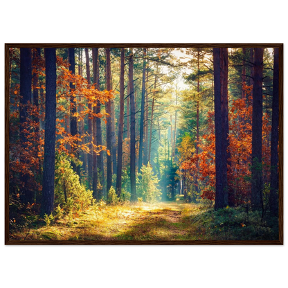 Path of Autumn Glow - Poster - Arthena
