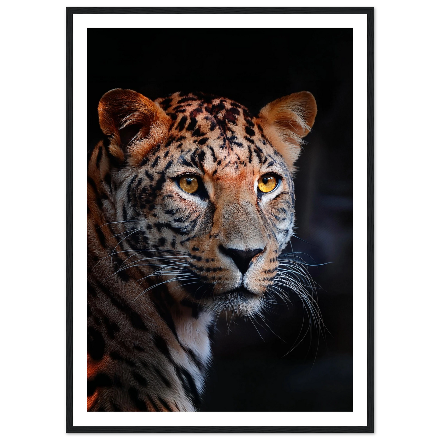 Leopard - Poster - Arthena