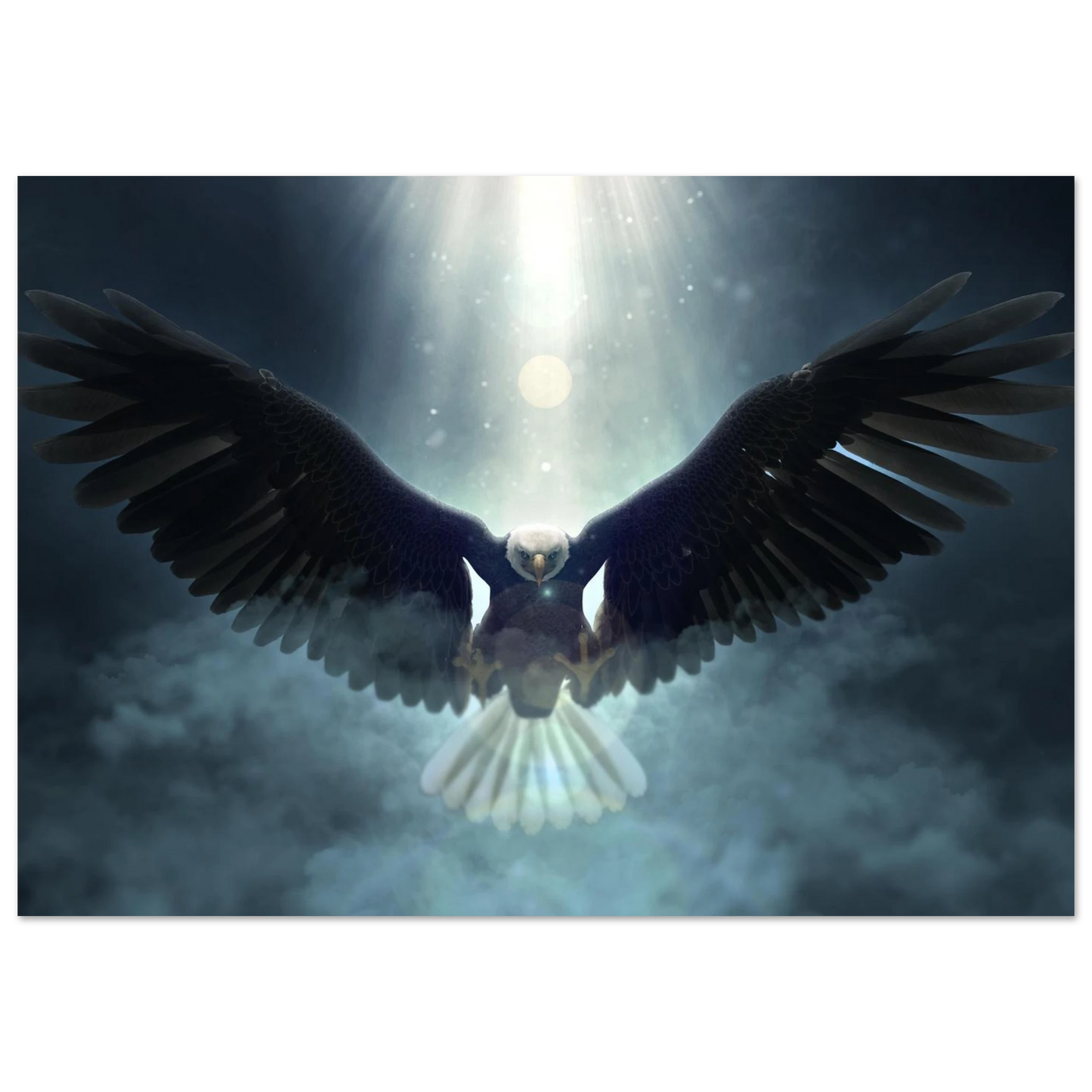 Wings of majesty - Poster - Arthena
