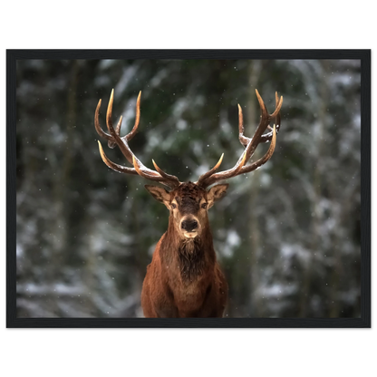 Stag in snow - Poster - Arthena