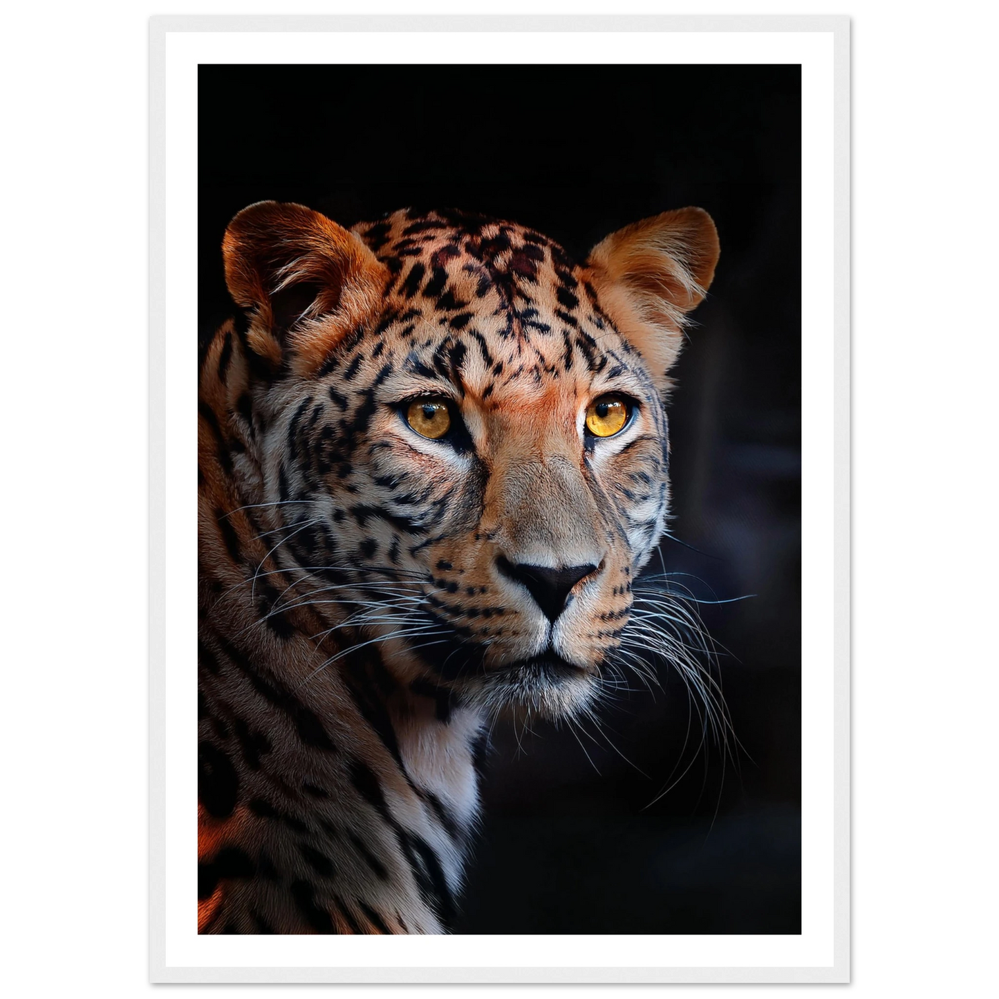 Leopard - Poster - Arthena