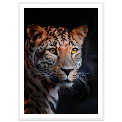 Leopard - Poster - Arthena