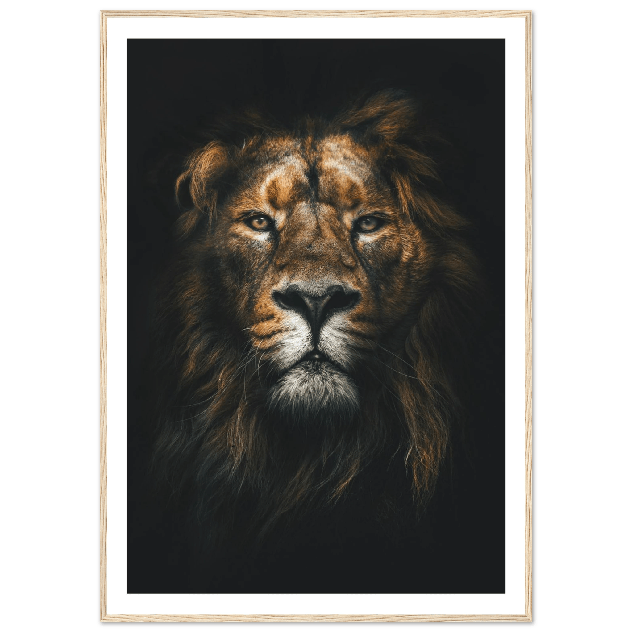 Lion King - Poster - Arthena