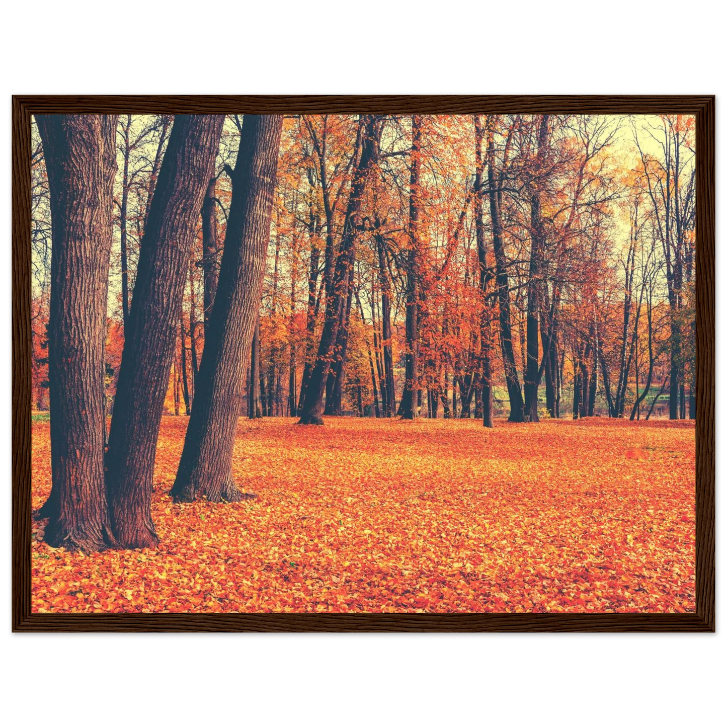 Autumn Carpet - Poster - Arthena