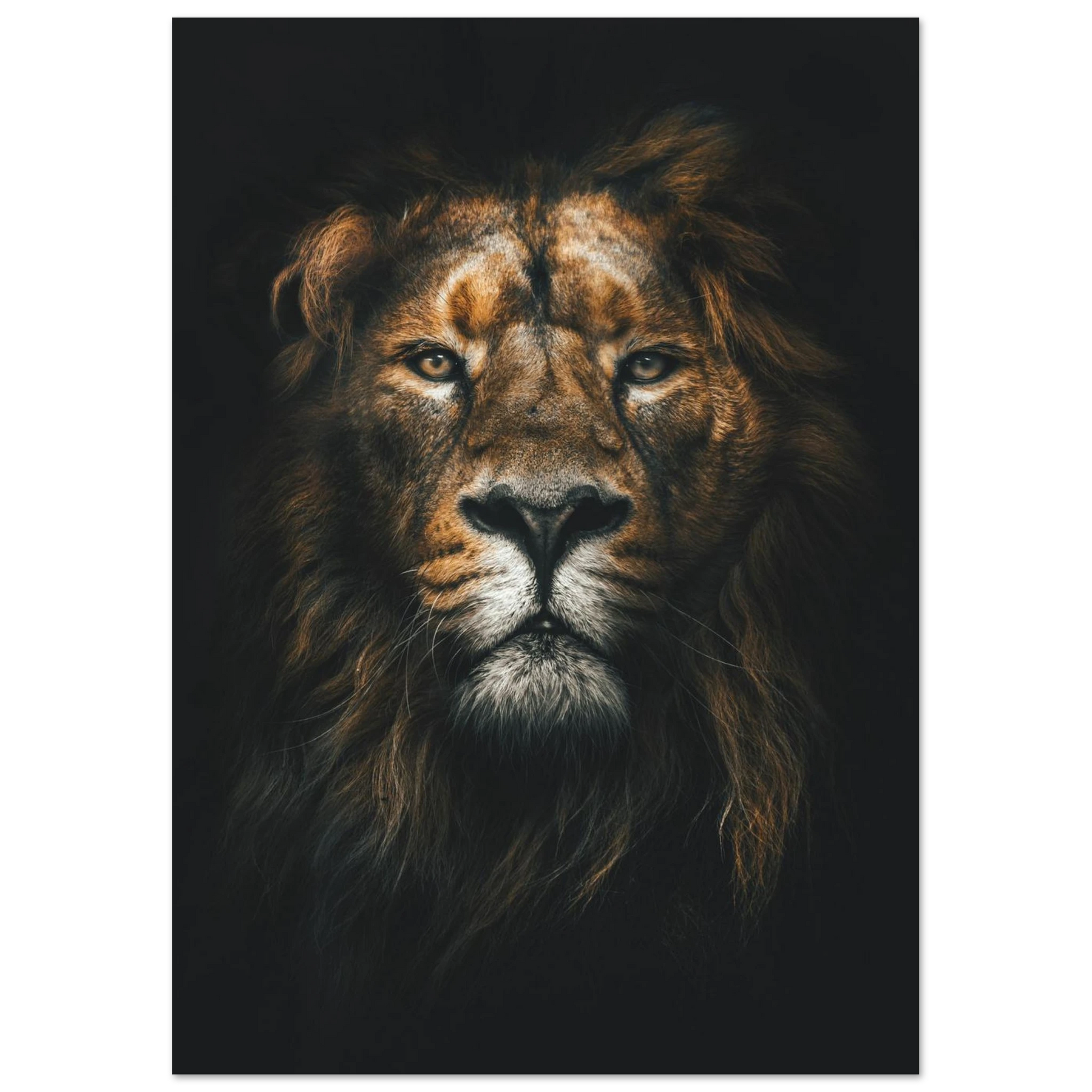 Lion King - Poster - Arthena