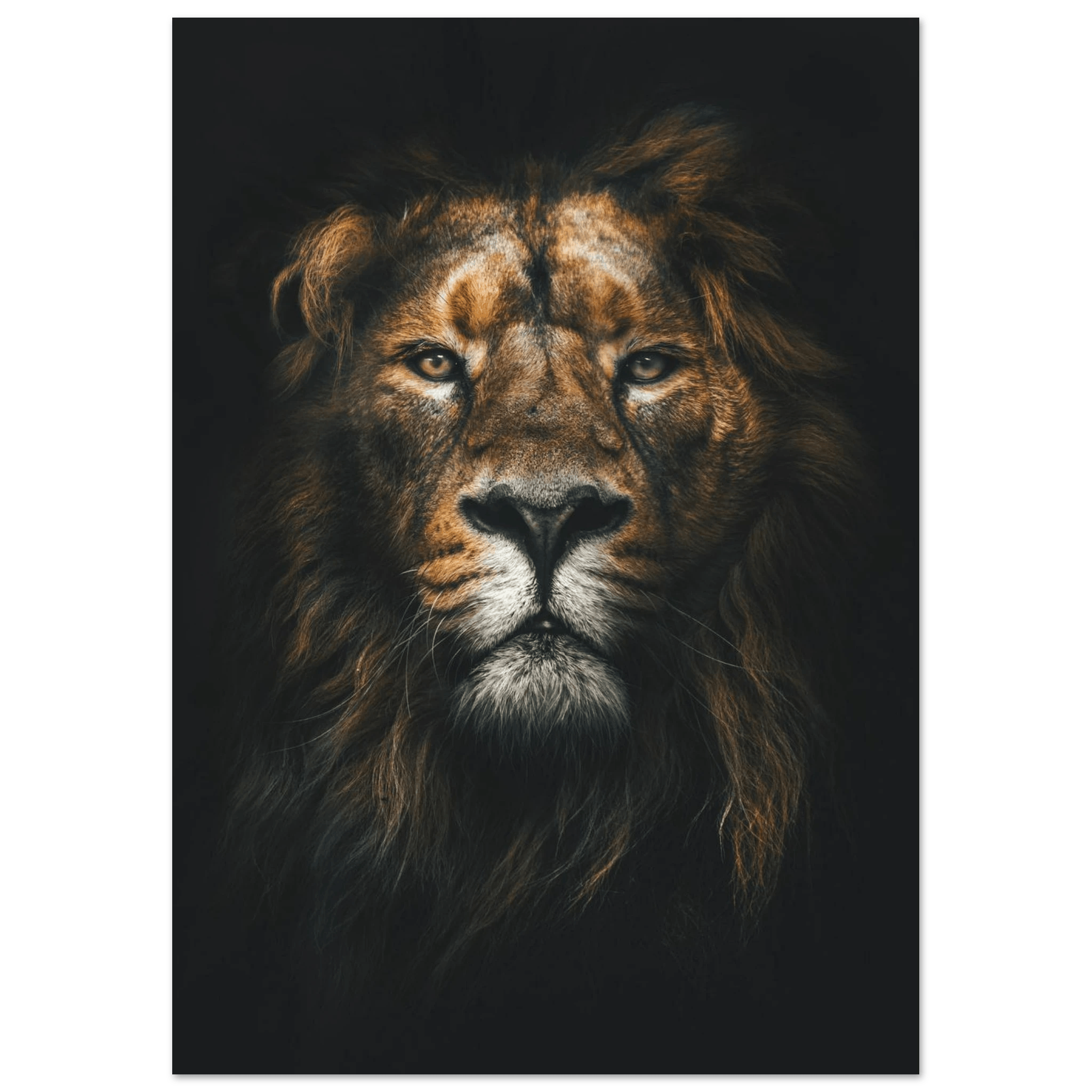 Lion King - Poster - Arthena