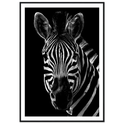 Zebra - Poster - Arthena