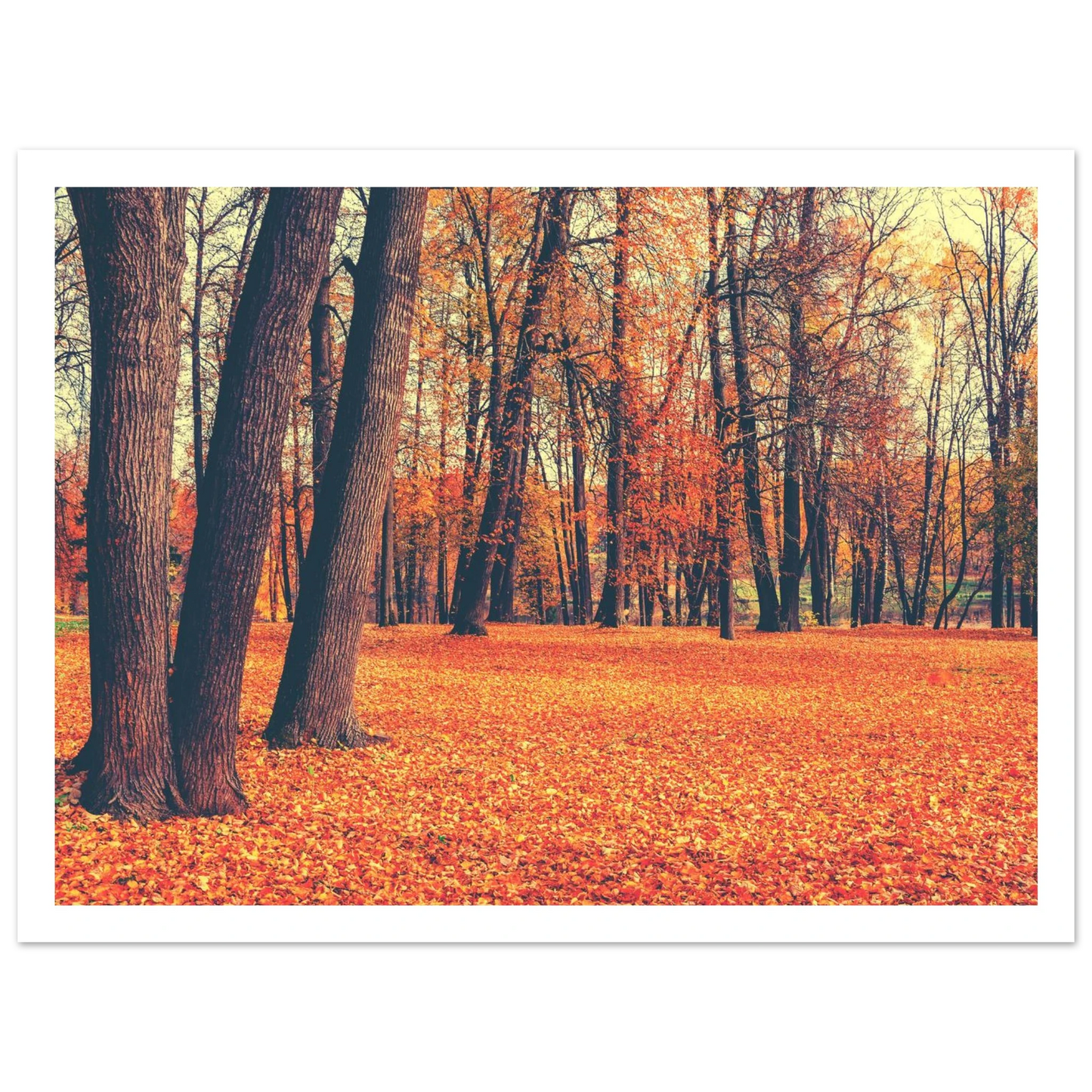 Autumn Carpet - Poster - Arthena