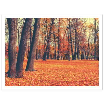 Autumn Carpet - Poster - Arthena