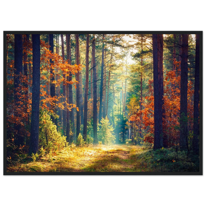 Path of Autumn Glow - Poster - Arthena